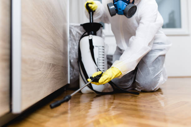 Best Mosquito Control Services  in Rome, IL