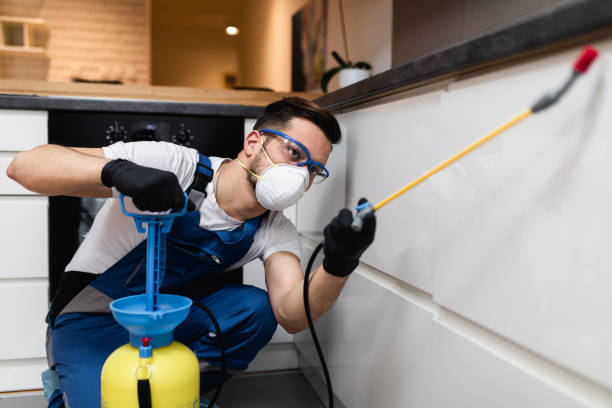 Best Affordable Pest Control Services  in Rome, IL