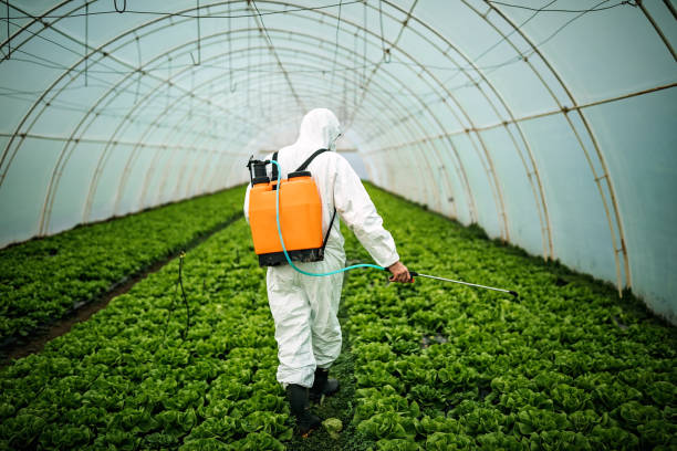 Best Pest Control Near Me  in Rome, IL