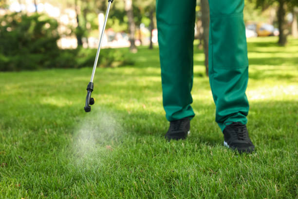 Best Wildlife Control Services  in Rome, IL