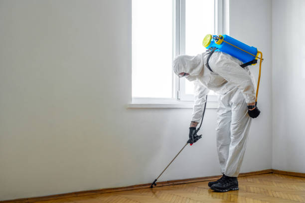 Best Pest Prevention Services  in Rome, IL