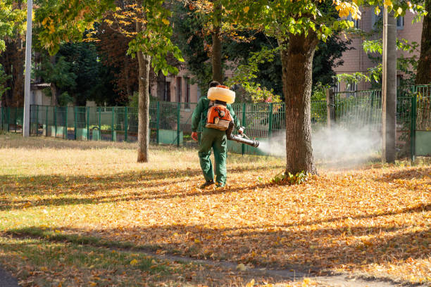Pest Control Cost in Rome, IL